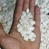 تخمه کدو وارداتی