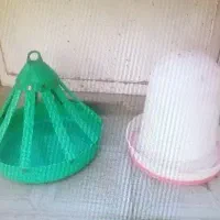 آبدون مرغ