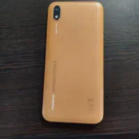y5 2019