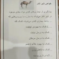 شیر شتر و شیر الاغ و دوغ شتر|خوردنی و آشامیدنی|بافق, |دیوار
