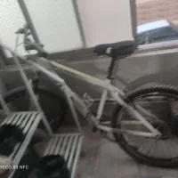 دوچرخه|دوچرخه، اسکیت، اسکوتر|ملایر, |دیوار