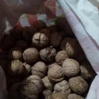 گردوامسال|خوردنی و آشامیدنی|نهاوند, |دیوار