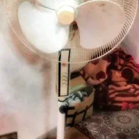 2عددوسیله پنکه عمودی درحدنو.ودرب گنجینه عتیقه