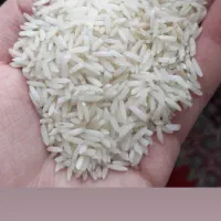 برنج|خوردنی و آشامیدنی|پارسآباد, |دیوار