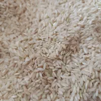 برنج چمپا محلی عنبربو|خوردنی و آشامیدنی|دهدشت, |دیوار