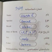 توله الابای