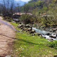 ویلاا جنگلی ویوی دار کسی میخاد زنگ بزنه|اجارهٔ کوتاهمدت ویلا و باغ|ماسال, |دیوار