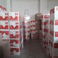 پکیج بوتان ایران رادیاتور قسطی با چک