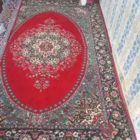 2 عدد قالی 6 متری