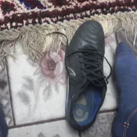 کفش استوک|کیف، کفش، کمربند|شیراز, دشت چنار|دیوار