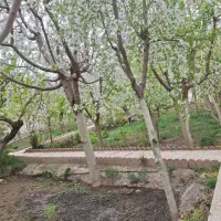 تهاتر-باغ-با-تجاری-و-آپارتمان