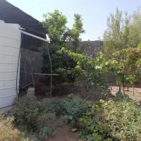 فروش-باغ-1000-متری-ایجدان
