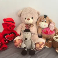 عروسک پولیشی ( سالم و نو)
