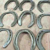 نعل اسب|اسب و تجهیزات اسب‌سواری|زابل, |دیوار