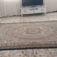 فرش|فرش|کنگاور, |دیوار