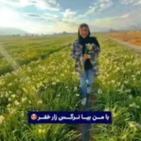 تور نرگس زار خفر بانوان رایگان