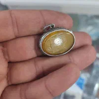 پلاک نقره شرف شمس