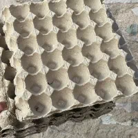 شانه تخم مرغ ۲/۵۰۰ تومن