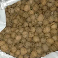 گردو کردستان