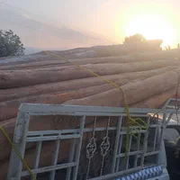 خرید چوب خشک سقفی وانواع چوب درباغات|خدمات پیشه و مهارت|ارومیه, |دیوار