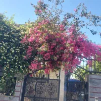 فروش ویلای 503مترزمین 220مترزیربناد شهرکی