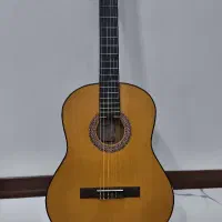 گیتار پارسی M2 نو