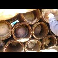 عسل کاملاًطبیعی ارگانیک برای دیابتی ها قلب و گوارش|عمدهفروشی|سنندج, |دیوار