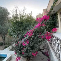 فرصتی عالی برای رنگکاران حرفه ای و باتجربه|استخدام درمانی، زیبایی، بهداشتی|یزد, |دیوار