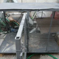 قفس مرغ وکبوتر