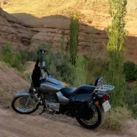 پالس اونجر طرح هارلی