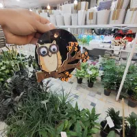 جا کلیدی جاسوئیچی جا کلیدی دیواری پشت خاران دیفن|صنایع دستی و سایر لوازم تزئینی|قم, ولیعصر|دیوار