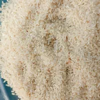 خرید و فروش برنج اهنگرمحله لاشه نیم دانه|خوردنی و آشامیدنی|گرگان, |دیوار