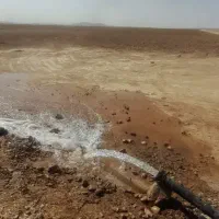 زمین کشاورزی با چاه آب