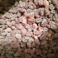 کشمش گوشتی و ارگانیک