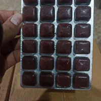 غذا ماهی منجمد|ماهی|زاهدان, |دیوار