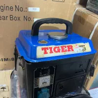 تایگر دوزمانه