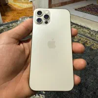 آیفون ۱۲پرو|موبایل|جم, |دیوار