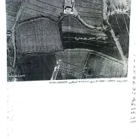 فروش ملک دامداری وگلخانه