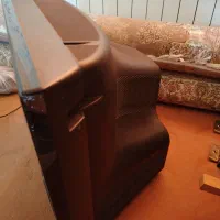 تلوزیون 29 اینچ صنام نو|تلویزیون و پروژکتور|صدرا-فارس, فاز ۲|دیوار