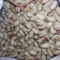 پستهی اکبری|خوردنی و آشامیدنی|خاتم, |دیوار