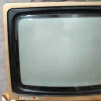 فروشنده‌تلوزیون‌۱۴‌اینج