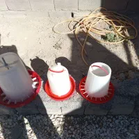 دونخوری و آبخوری|لوازم جانبی حیوانات|کبودرآهنگ, |دیوار