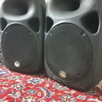 بلندگو پسیو