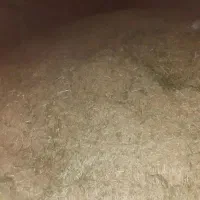 کاه سنم