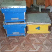 هم کندوی صفر هم کندوی کار کرده