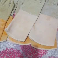 دستکش....|ظروف پختوپز|زابل, |دیوار