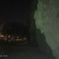 باغ