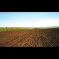 یک قطعه زمین کشاورزی حاصلخیز به فروش می‌رسد.