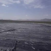 تولیدکننده روکش حبابداراستخر استاندارد|مصالح و تجهیزات ساختمان|مشهد, شهرک لشکر (شهرک غرب)|دیوار