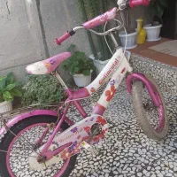 دوچرخه سایز ۱۶|دوچرخه، اسکیت، اسکوتر|بندر انزلی, سید آسیه|دیوار